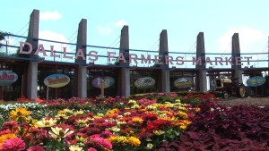 Dallas Farmers Market